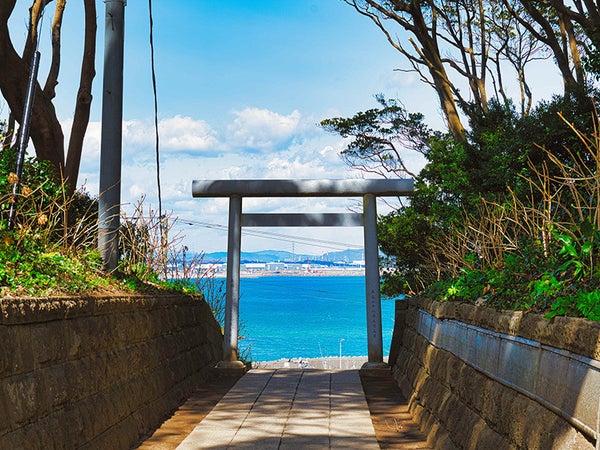 【新宿発】7,000円台~ぶっとび格安✨ひたちなか『ネモフィラの丘』青の絨毯を堪能💙&『めんたいパーク』工場見学+お土産付♪&神秘的『酒列磯前神社』(入場料込)2